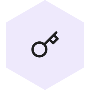 Administrator key icon